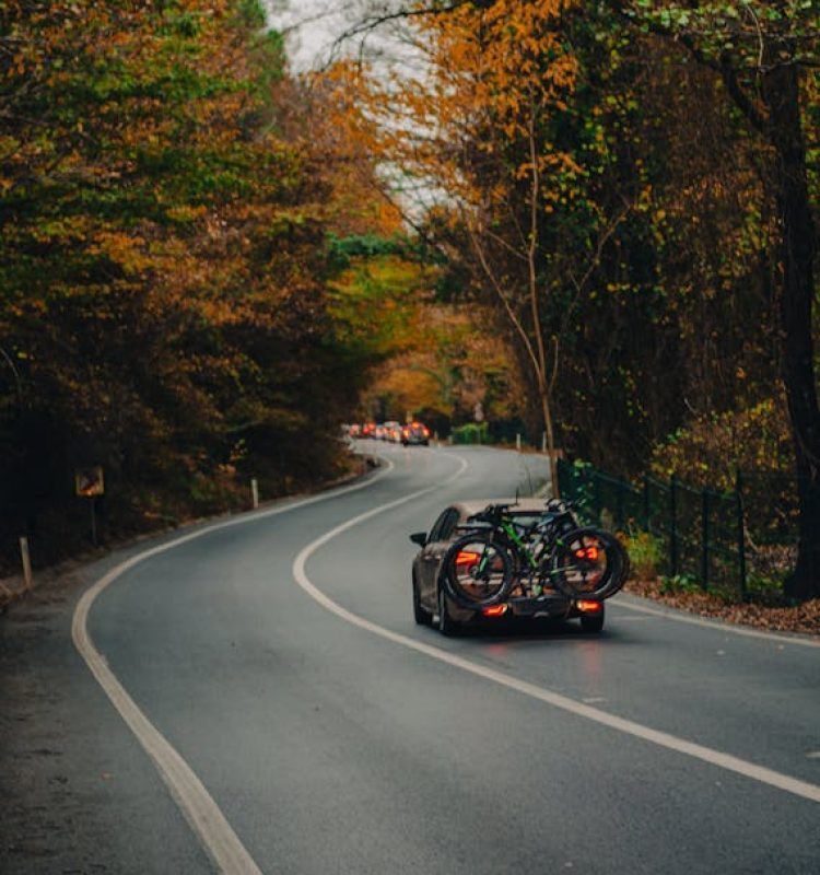 pexels-hilmiisilak-14504716 pexels-hilmiisilak-14504716